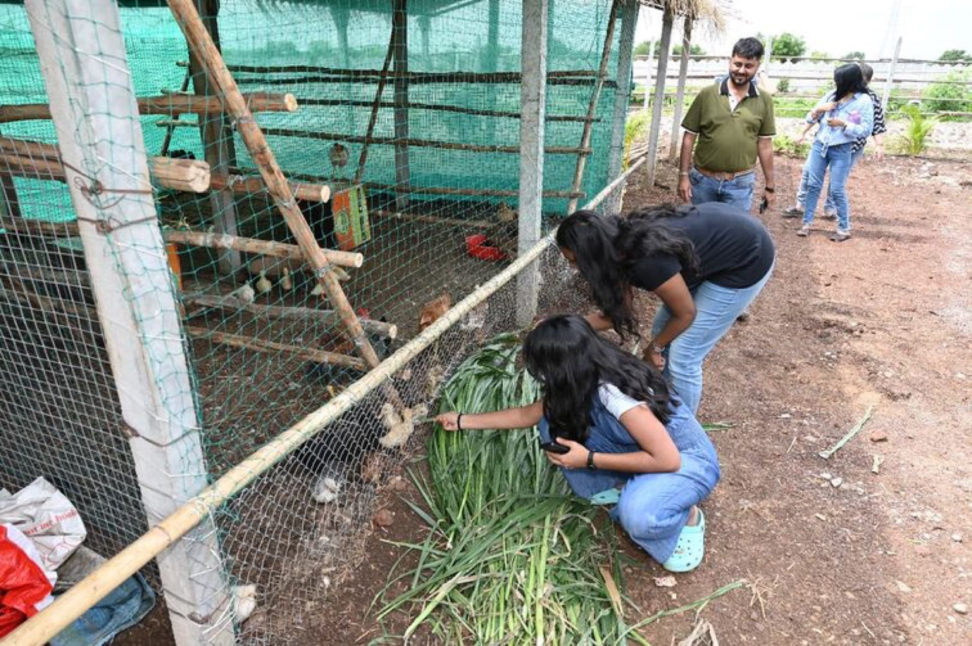 Ananda Kshethram farm — photo 7