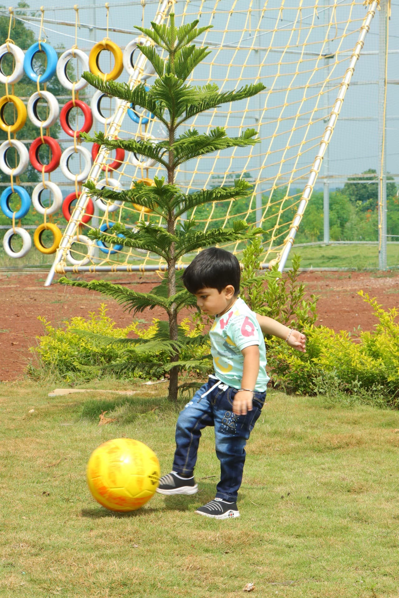Ananda Kshethram farm — photo 10
