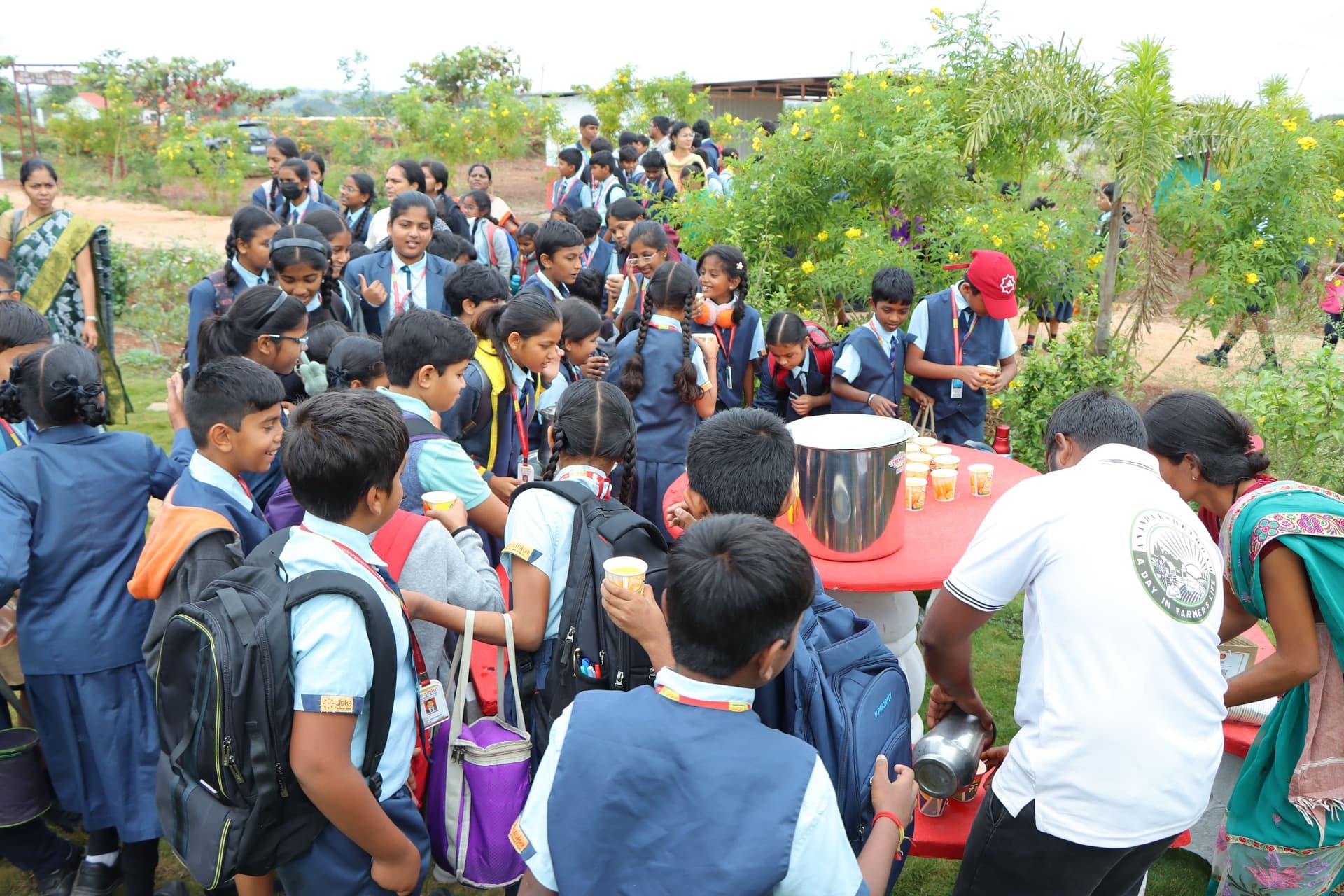 Ananda Kshethram farm — photo 17