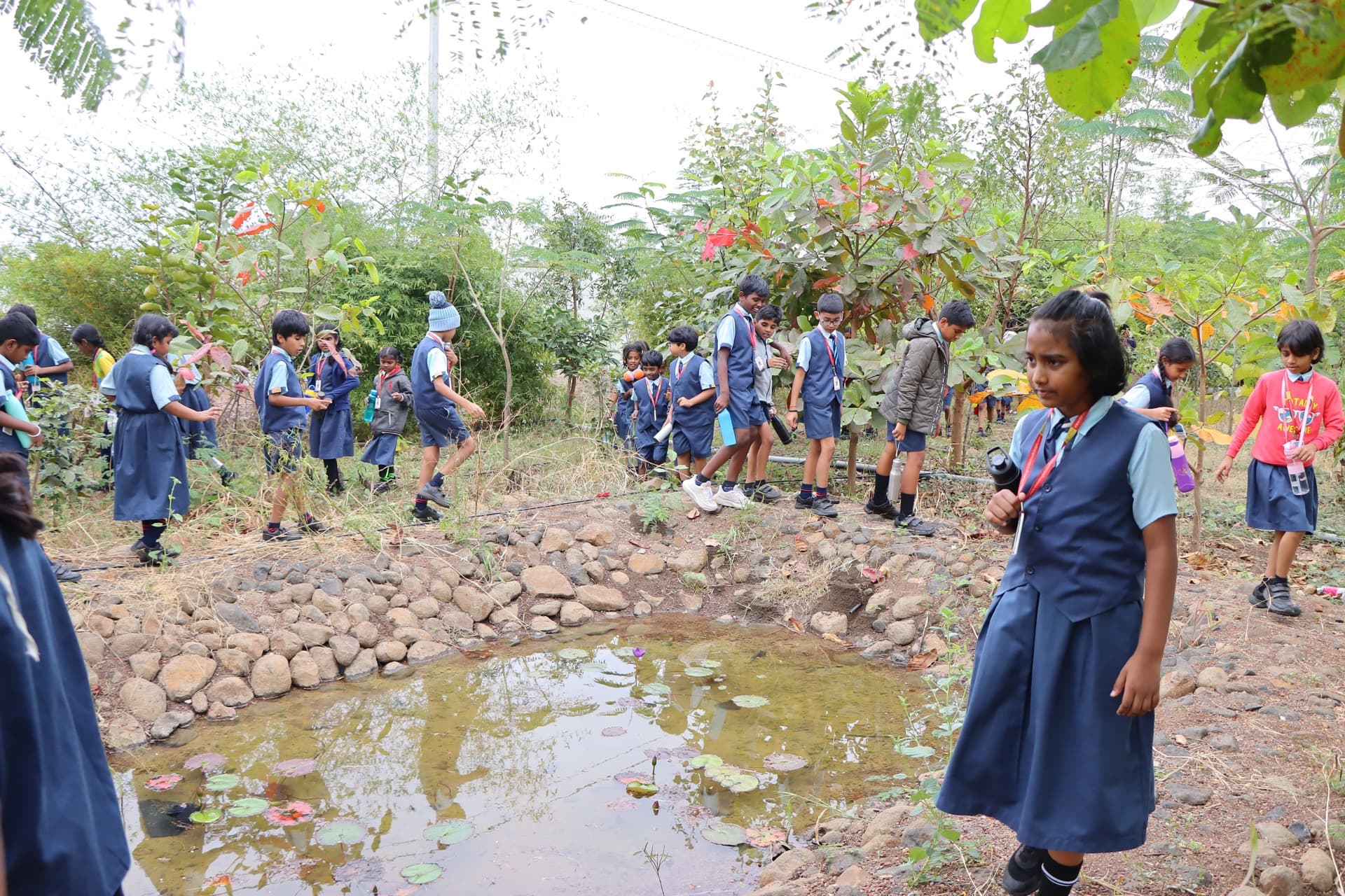 Ananda Kshethram farm — photo 24